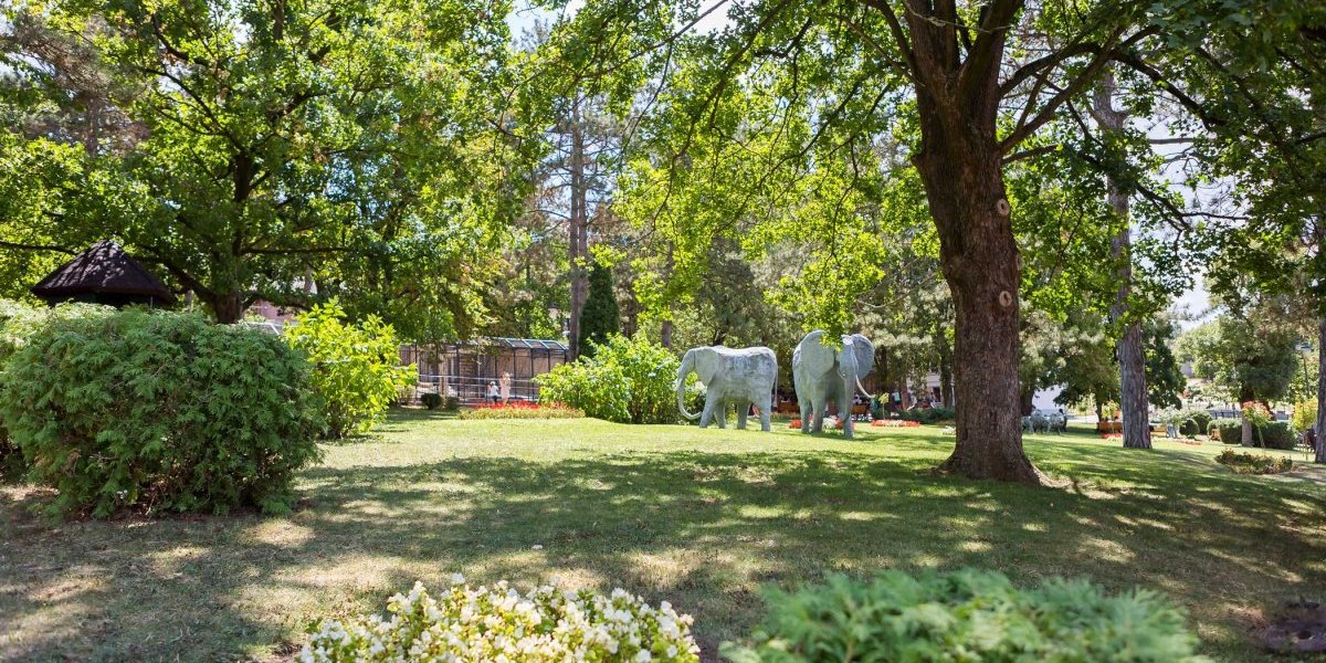 Traži se kum: Jagodinsko životinjsko carstvo dobilo pojačanje (VIDEO)