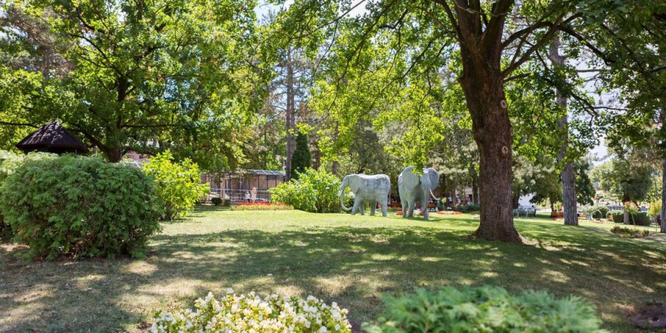 Traži se kum: Jagodinsko životinjsko carstvo dobilo pojačanje (VIDEO)