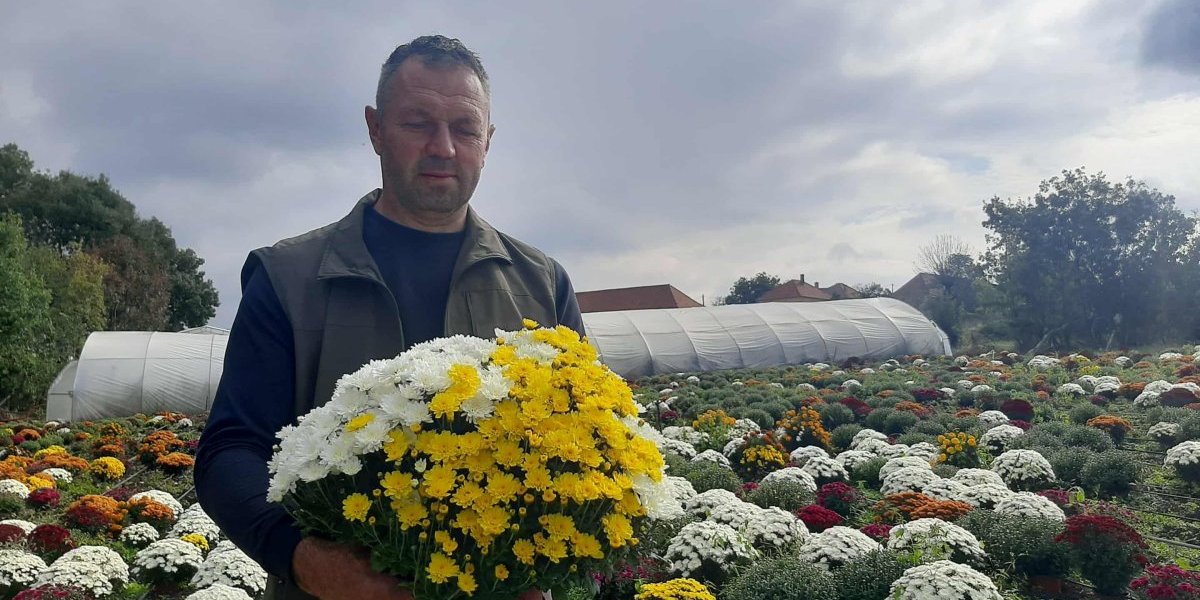 Biznis od koga se mlate pare u jesen: Oktobar je udarni mesec