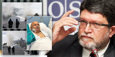 Osvedočeni ustaša Tonino Picula, koji je specijalni izaslanik Evropskog parlamenta za Srbiju, opravdao je, verovali ili ne, monstruozni teroristički napad koji se juče dogodiuo u srcu Beograda.