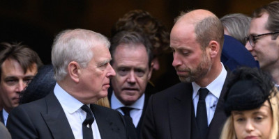 Princ Endru ne koristi više kraljevske titule, a ko će je sledeći naslediti isključivo zavisi ni od koga drugog do od princa Vilijama