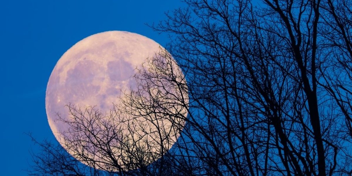 2 znaka u decembru čeka haos: Doživeće posrnuće neviđenih razmera, a jedan će zaraditi brdo para