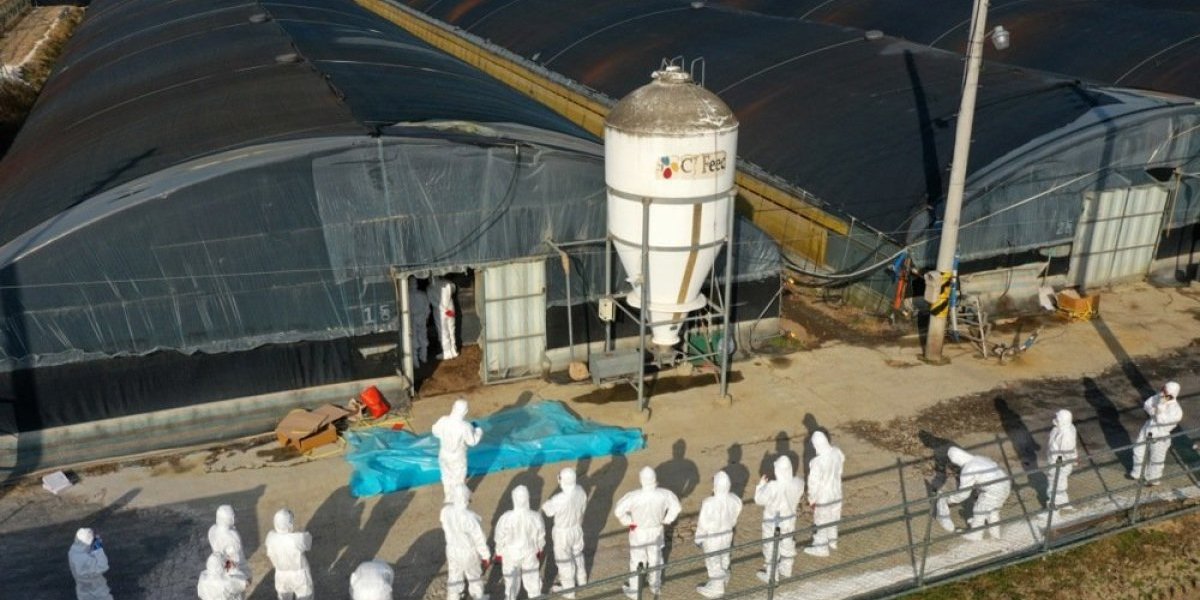 Dramatično otkriće u srcu Evrope: Nemci su na ovo već upozorili