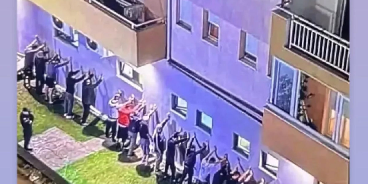 Objava Veljka Ražnatovića