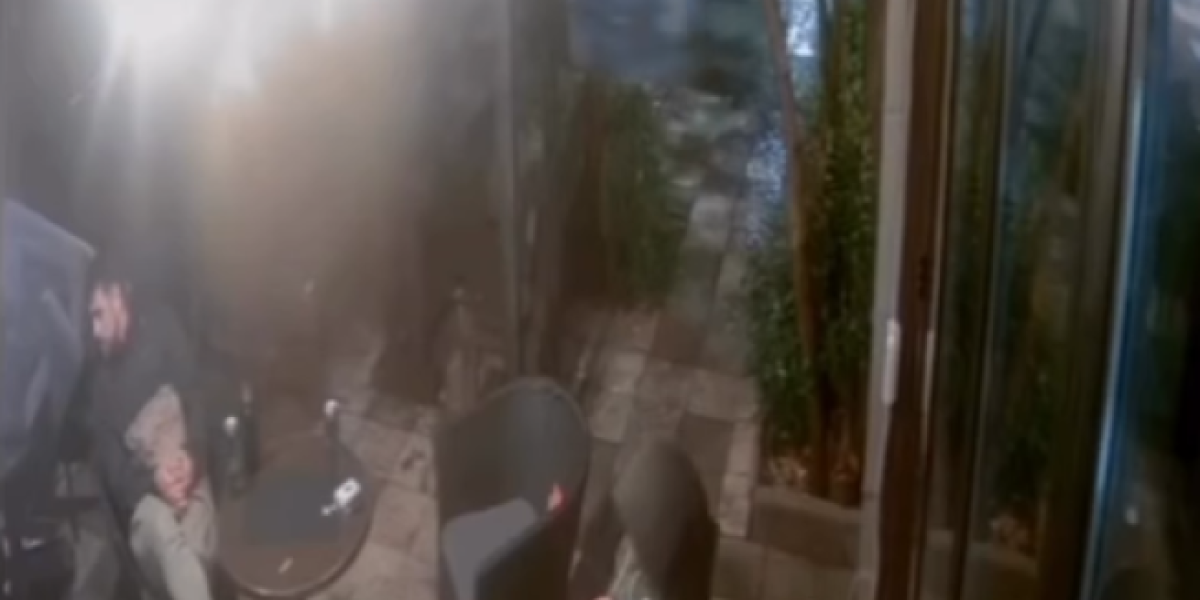 Objava Veljka Ražnatovića