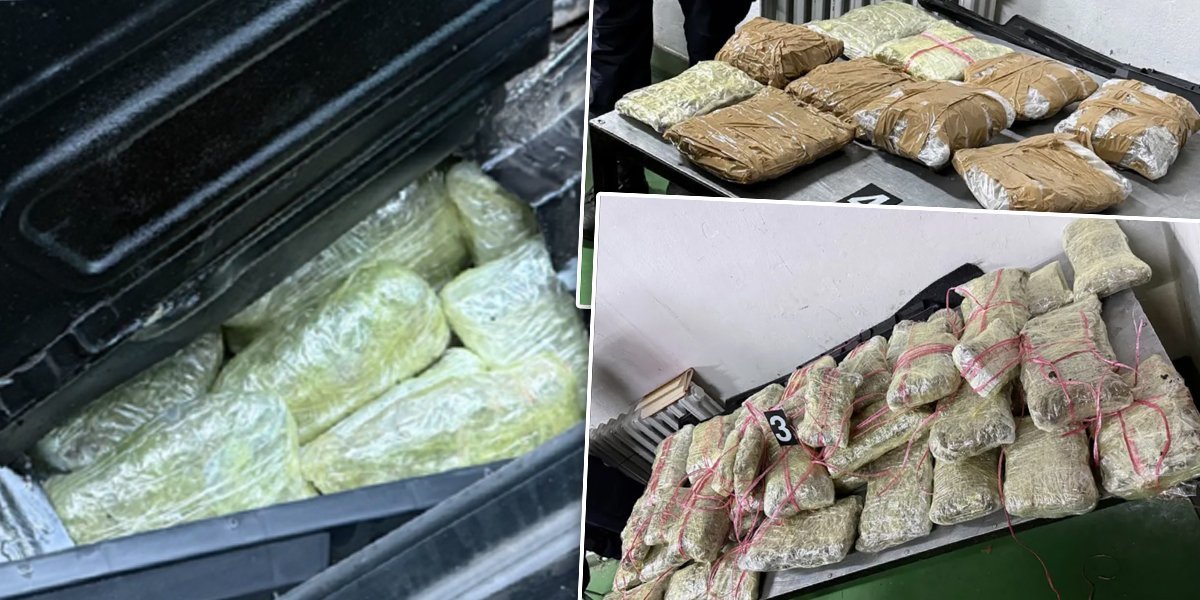 "Tapacirao" auto marihuanom: Carinici otkrili tajne pregrade u vozilu i zaplenili 100 paketa droge (FOTO)