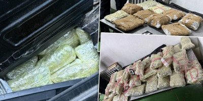 Zaјedničkim radom carinskih i policiјskih službenika јe 27. oktobra 2025. godine, na izlaznoј strani graničnog prelaza Gradina, sprečen pokušaј kriјumčarenja preko 55 kilograma marihuane.