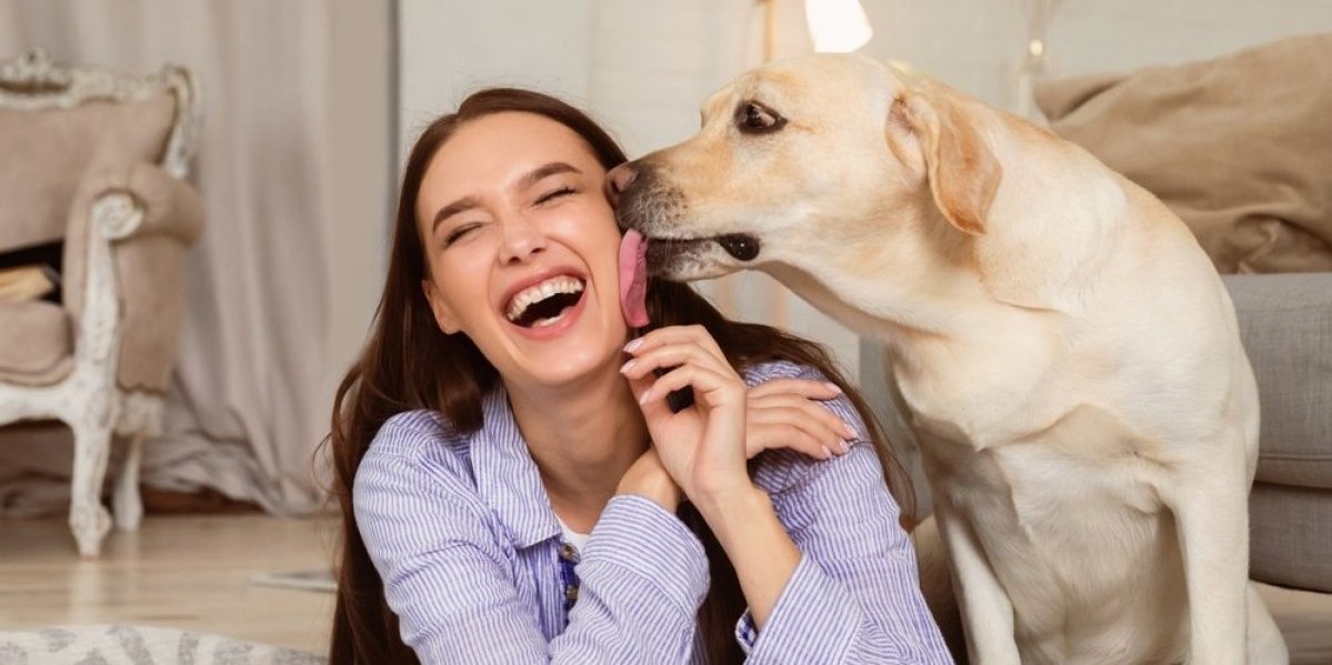Kada vas pas liže, nisu uvek poljupci: Nećete verovati šta vam zapravo time poručuje