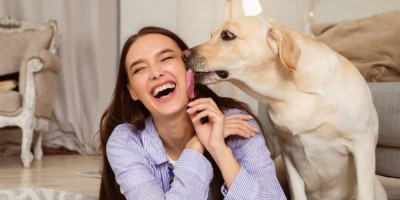 Mnogi vlasnici pasa smatraju da je lizanje način na koji pas pokazuje ljubav, kao da ih "ljubi". Ipak, stručnjaci za ponašanje životinja ističu da ovo ima drugo značenje.