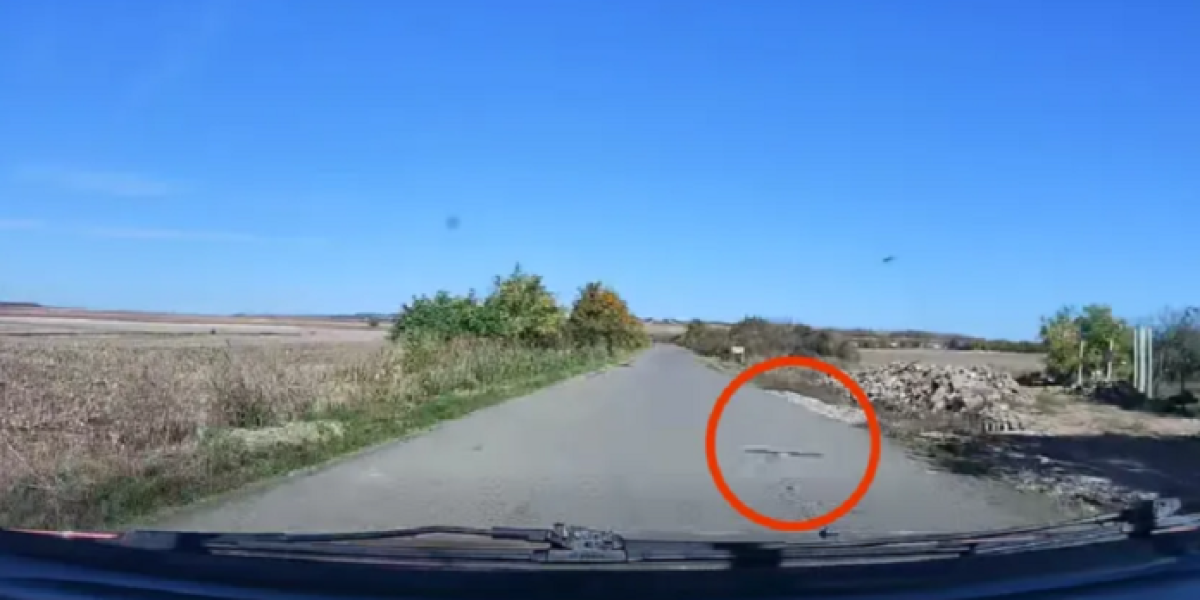 Čudo u Sremu: Otegla se nasred puta (VIDEO)