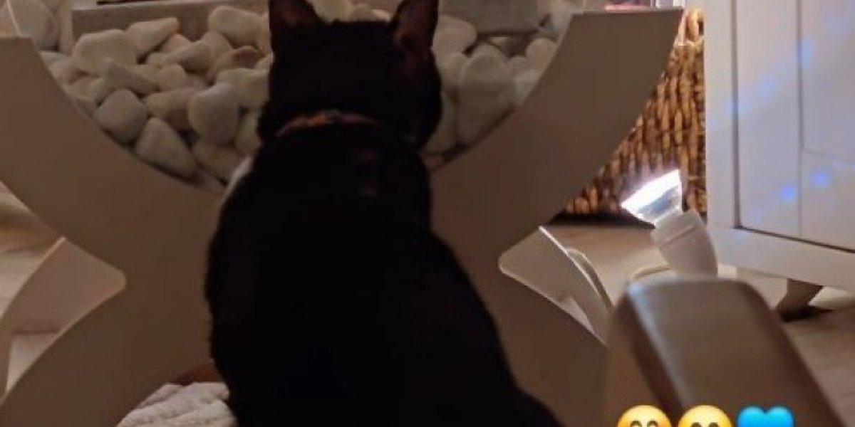 Kuća Lidije Vukićević