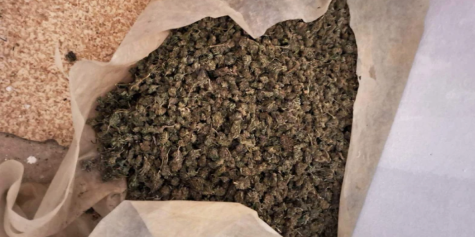 365 kilograma droge na imanju u Loznici: Dačić otkrio nove detalje akcije policije (FOTO)