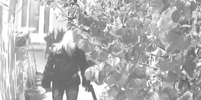 Ženi koja je iz čista mira upala u kuću Prokupčanke, razbila vrata i mahala nožem, sledi krivična i prekršajna prijava, potvrđeno nam je u Osnovnom javnom tužilaštvu u Prokuplju.