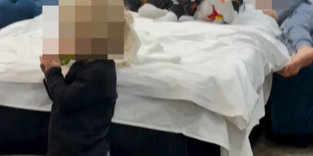 Naslednici porodica Šijan i Ražnatović