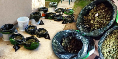 Policija u Smederevu, u saradnji sa Višim javnim tužilaštvom u tom gradu, uhapsila je danas B. N. (56) iz Velike Plane, zbog postojanja osnova sumnje da je izvršio krivično delo neovlašćena proizvodnja i stavljanje u promet opojnih droga.