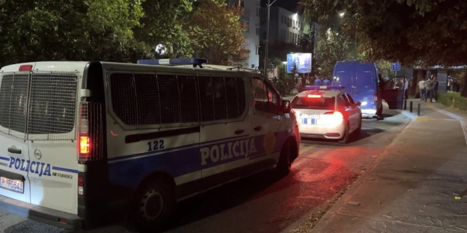Za šta se ovo Crna Gora sprema? Od automatskog "tompsona" i tenkovskog arsenala do ksalola i kokaina (FOTO)