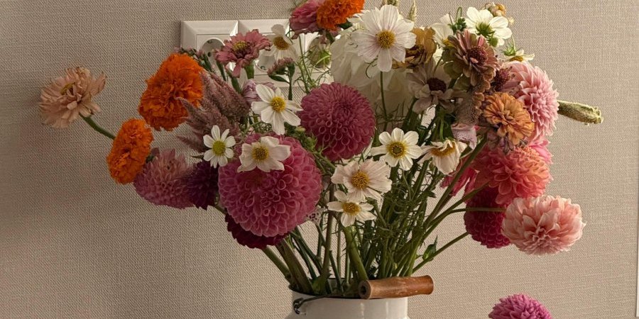 Svi ovaj cvet unose u dom, a ne bi trebalo: Privlači izgledom al krade sreću