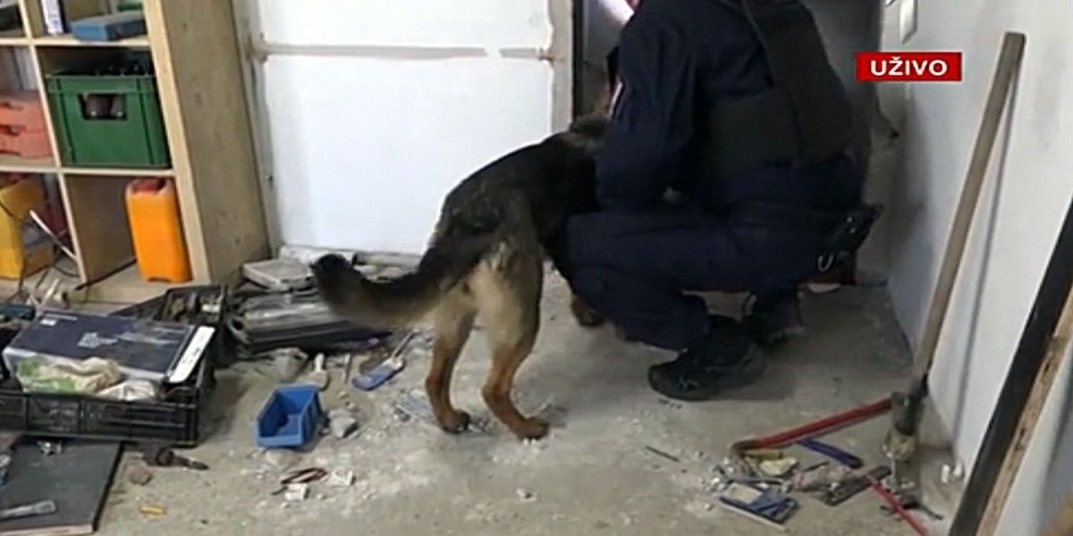 Pas tragač pronalazi skrivenu sobu