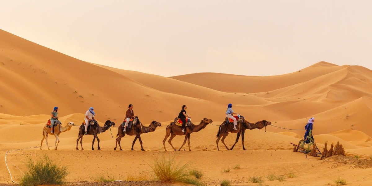 Naučnici otkrili: Do kraja veka Sahara bi mogla da se zeleni, a ovo je razlog