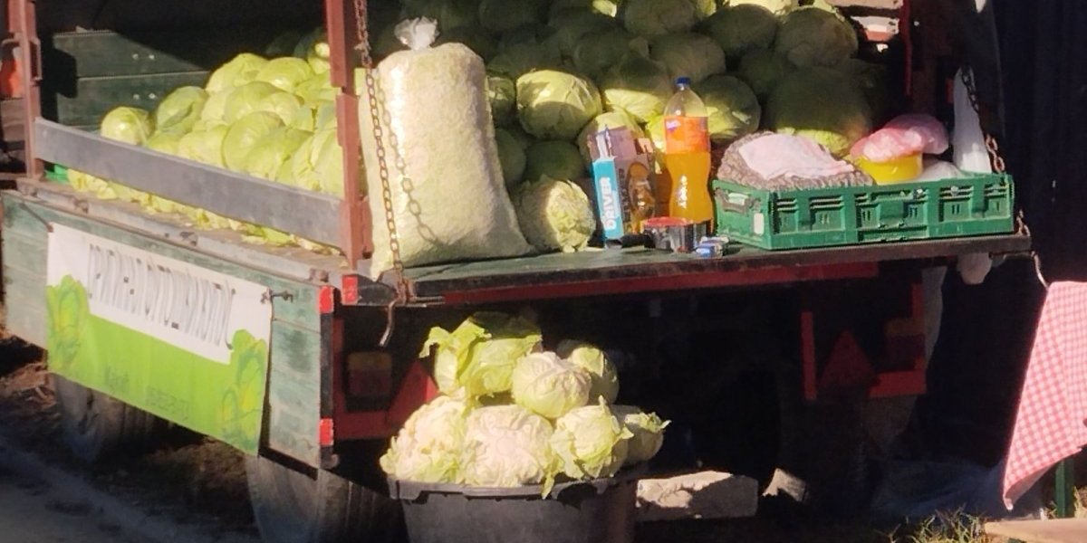 Nova tehnika kiseljenja kupusa: Domaćice u Futogu to rade uz pomoć kese