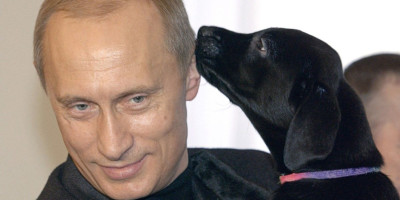 Omiljeni pas Vladimira Putina bila je crni labrador retriver Koni, a nekoliko je razloga zašto je toliko posebna za ruskog predsednika.