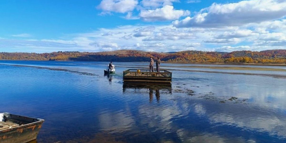 Vlasinskim jezerom zaplovio čudan splav: Od posetioca se zahteva samo jedna stvar