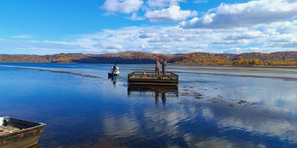 Vlasinskim jezerom zaplovio čudan splav: Od posetioca se zahteva samo jedna stvar