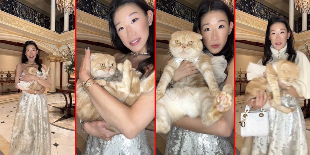 Krstila svog mačora: Njen potez izazvao haos na mrežama - internet se usijao od komentara (VIDEO)