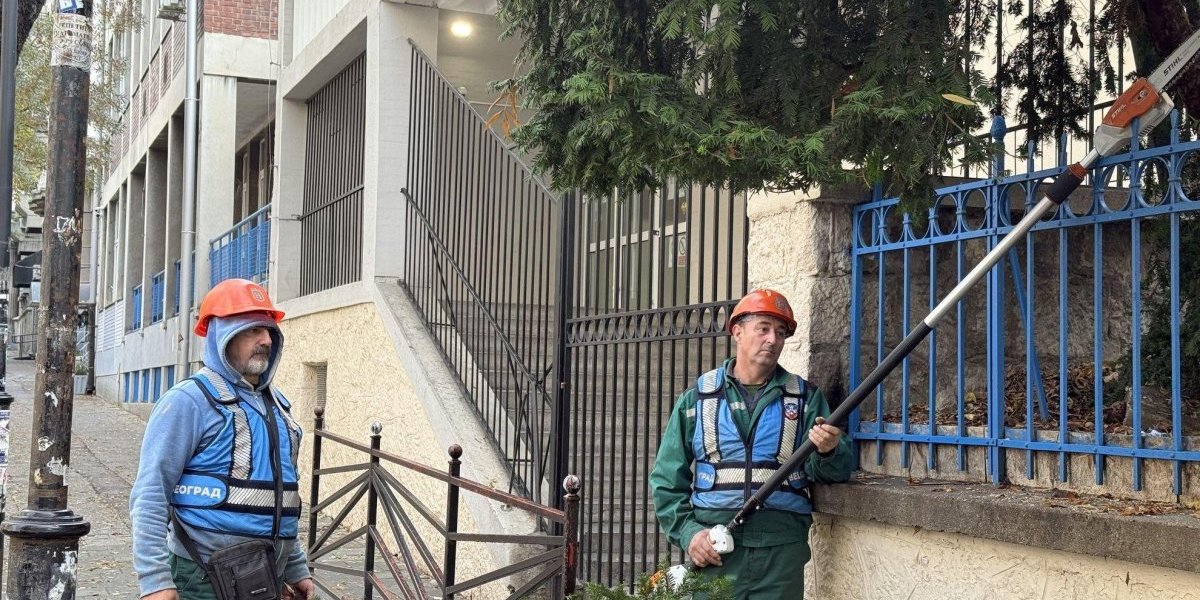 Inicijative opštine Vračar: Omogućen bezbedan pristup OŠ "Vladislav Ribnikar"