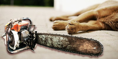 Nakon informacije da je B.A.Š. (40) motornom testerom ubio svog psa, a potom pretukao nevenčanu suprugu, meštani Banatske Topole kod Kikinde su šokirani.