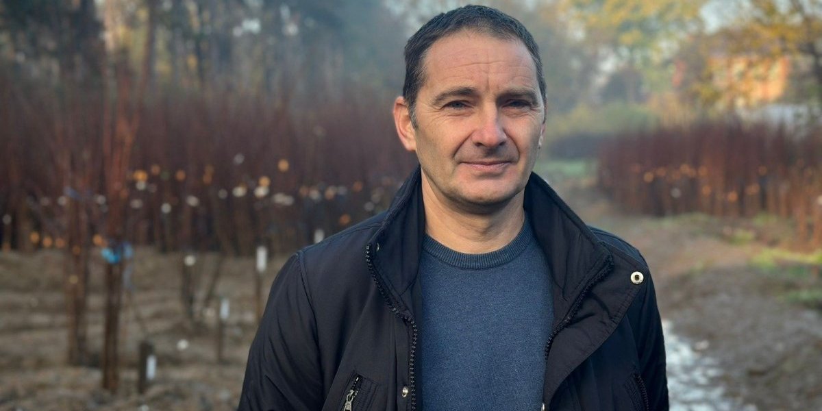 Stručnjak otkriva šta se sadi u jesen: Ovo je ubedljivo najtraženija voćka u Srbiji