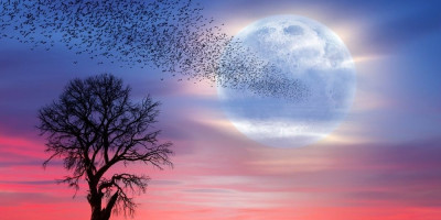 Mlad Mesec očekuje nas u vodenom znaku Škorpije 20. novembra i donosi novi početak za Rakove, Ribe i Škorpije.