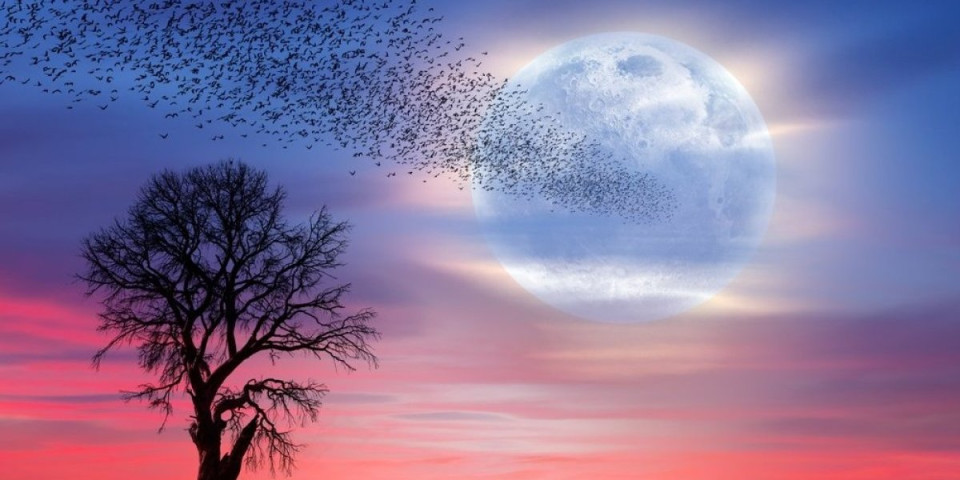 Mesec je u Biku: 3 horoskopska znaka ulaze u srećan period