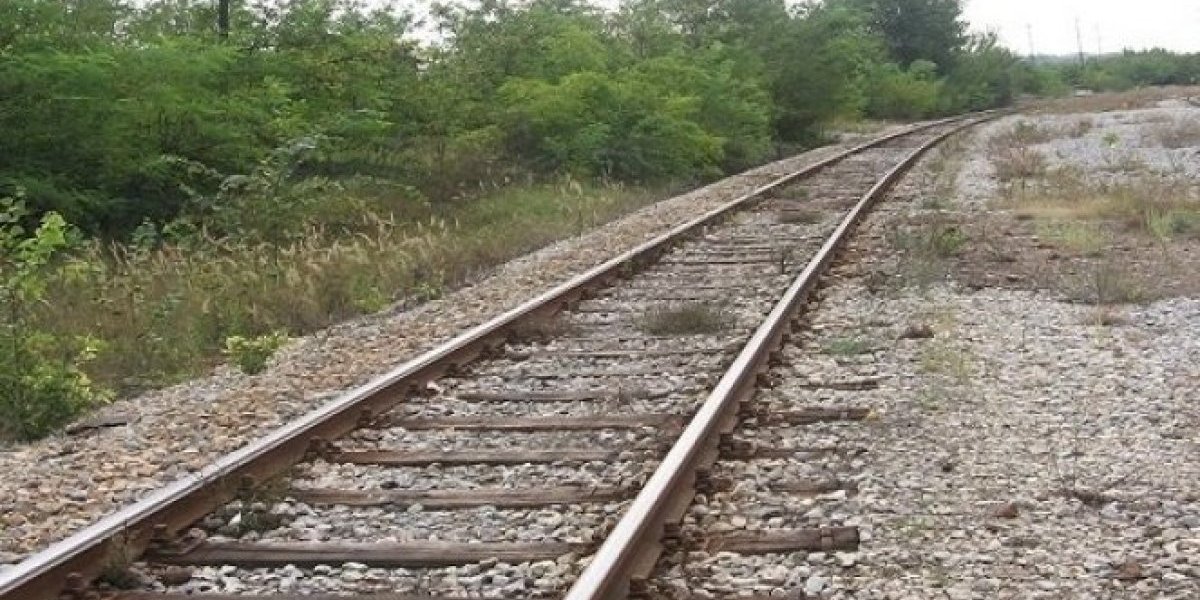 Trči prugom kao da je luda ili besna: Pribojci se raspravljaju zbog nje već drugi dan