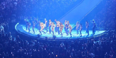 Pop zvezda Lejdi Gaga pokazala je još jednom koliko joj je stalo do svojih fanova, kada je tokom koncerta u belgijskom gradu Antverpenu prekinula koncert kako bi pomogla devojci kojoj je pozlilo.