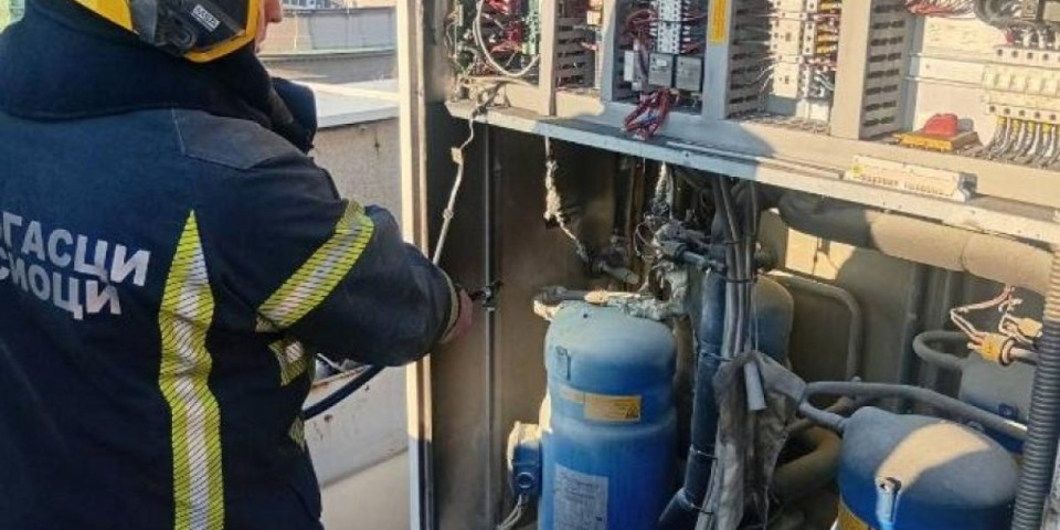 Požar u Novom Sadu: Vatrogasci morali da intervenišu u parku (VIDEO)