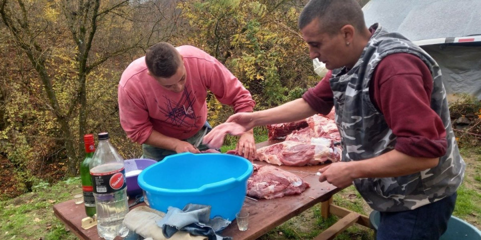 Sto kila svinja, 200 kila mast! Ovo je moba koja se jedina održala od davnina do dan danas