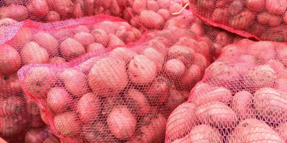 Kakav krompir: Ovakav još niste videli, svi se čude - čak i uši ima