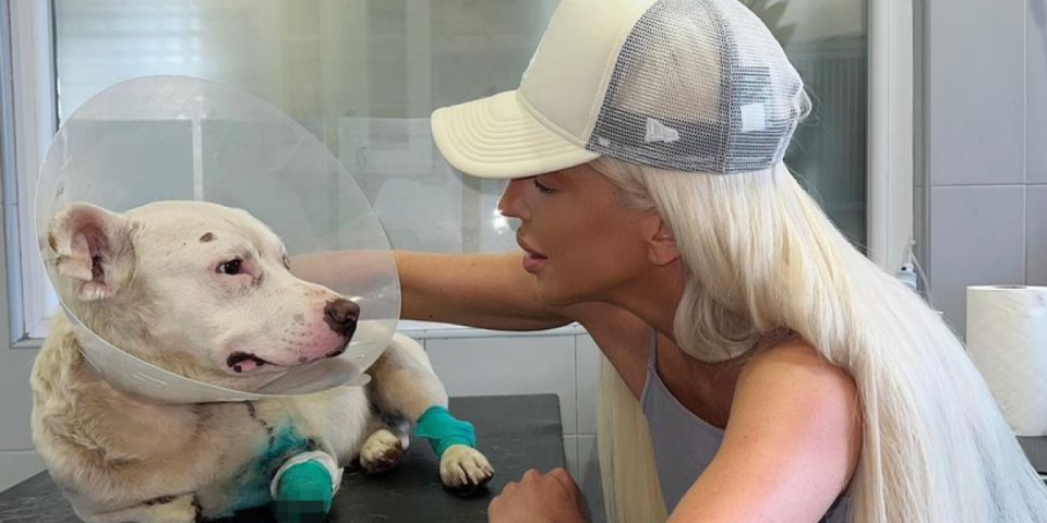 Karleuša odvela pse na masažu i feniranje: Kraljevski tretman za Alfu i Omegu (VIDEO)