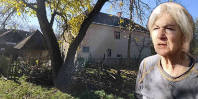 Meštani sela Zavidinci kod Babušnice u kom su ubijeni otac i sin, a još dve osobe ranjene i teško poveđene u šoku su nakon zločina, a kako kažu, Srđan M. je ubio komšije zbog imovine i stoke.