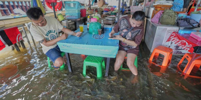 U restoranu Pa Jit u provinciji Nakhon Pathom, oko 30 kilometara od Bangkoka, na jelovniku su ribe, ali one plivaju i po hodnicima, udaraju u noge gostiju ispod stolova, i niko se ne žali.