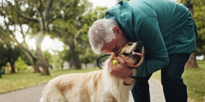 Norm Feigenbaum (93) iz Kalifornije je uspeo da pronađe svog psa zahvaljujući smrdljivim čarapama, a ova neobična priča je raznežila ljude širom sveta.