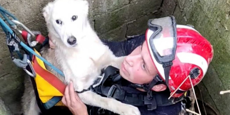 Drama u Topolovniku: Ovako su vatrogasci iz dubokog bunara spasili izgubljeno štene (FOTO)