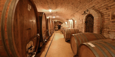 U susret prestižnom vinskom događaju „Wine Vision by Open Balkan“, koji se od 22. do 25. novembra održava u Beogradu, Kompanija „Dunav osiguranje“ još jednom potvrđuje svoju posvećenost razvoju i zaštiti domaće vinogradarske i vinarske proizvodnje.