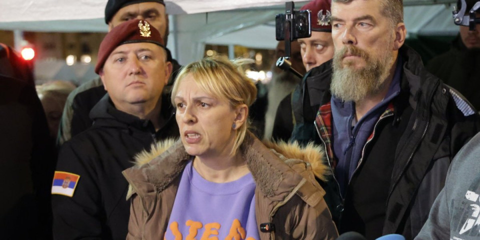 Skandal na skupu protiv nasilja: Hrka psovala, a onda i šutnula Aleksandra Šulca (VIDEO)