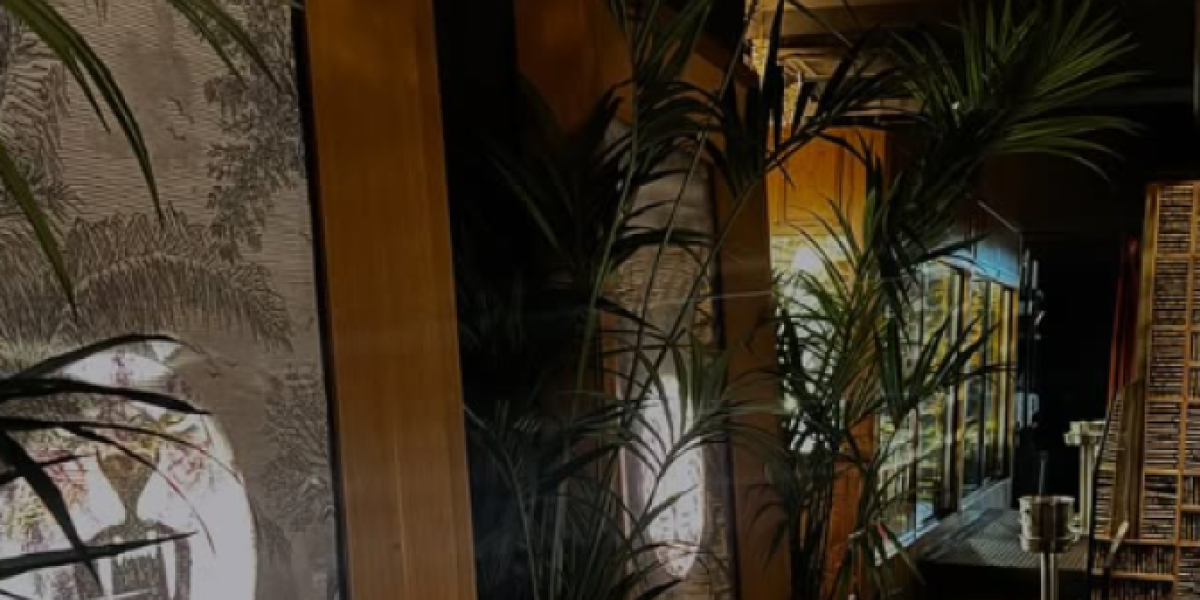 Đina Džinović u Barseloni