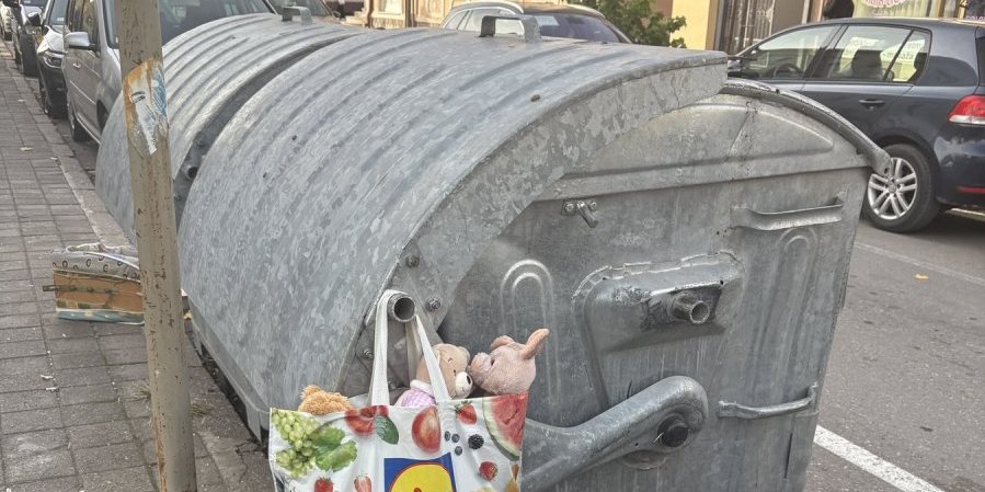 Šta je rekao vlasnik pre nego što ih je ostavio ovde: Dirljiv prizor sa lozničke ulice