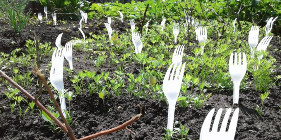 Ovaj trik će vam spasiti baštu: Viljuške u zemlji – tajna zaštita biljaka od zimske napasti