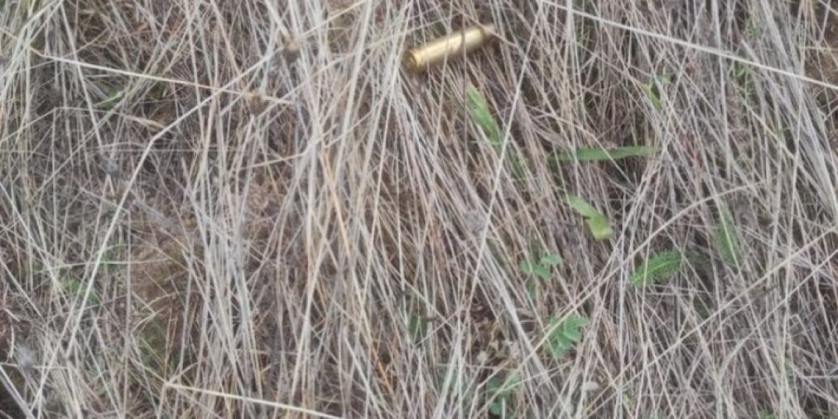 Pucano na Vojsku Srbije