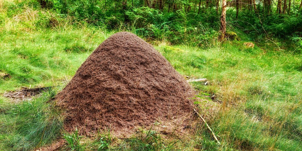 Kad ćerka udari na majku: Ovo do sada nije zabeleženo, naučnici u šoku